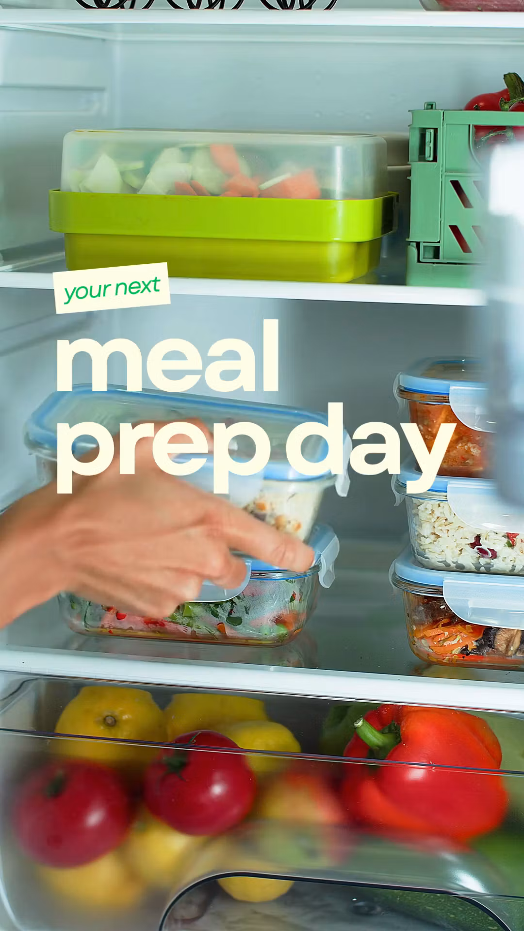 Budget-Friendly Student Meal Prep