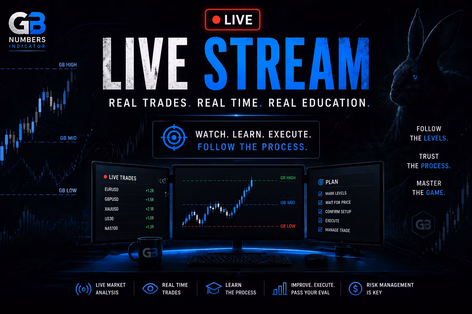Live Stream