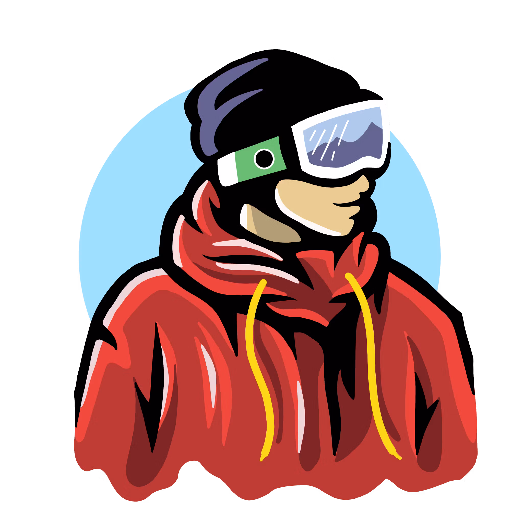 SnowborneCo.