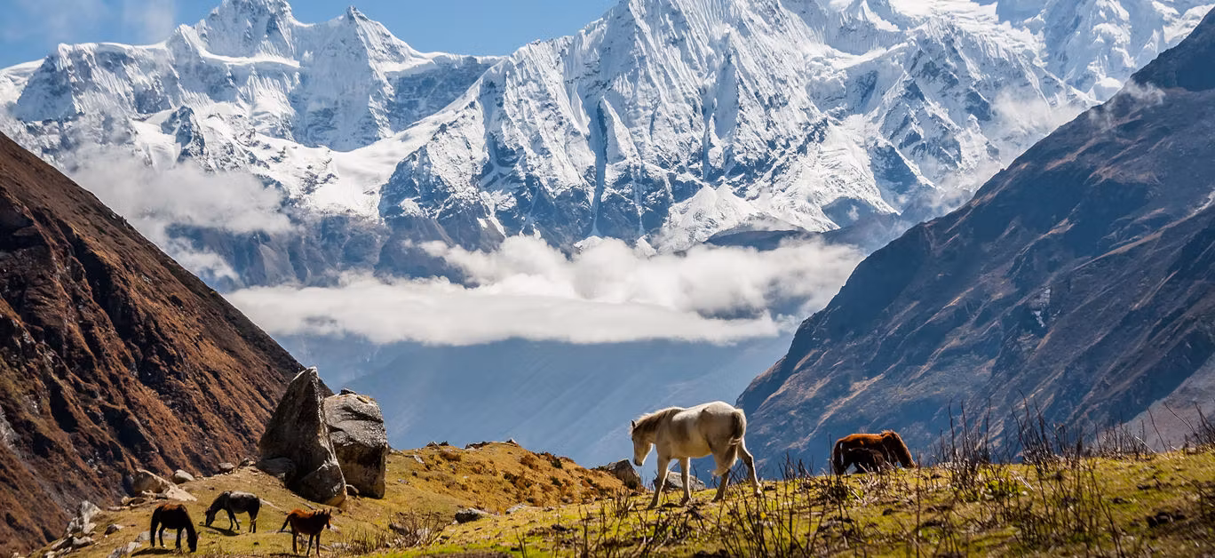 Top 5 Hidden Treks in Nepal