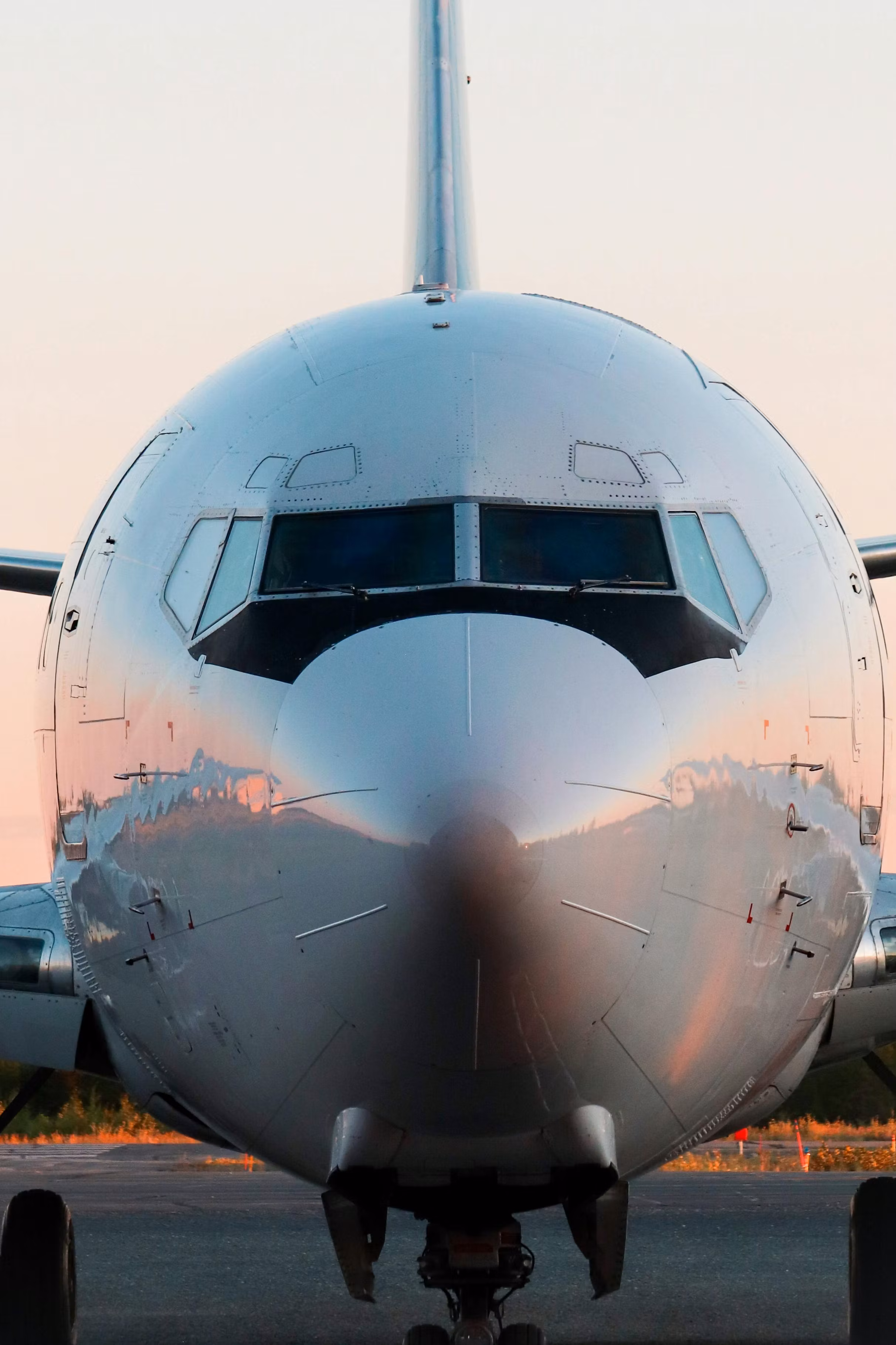 Fly and travel with Safi
