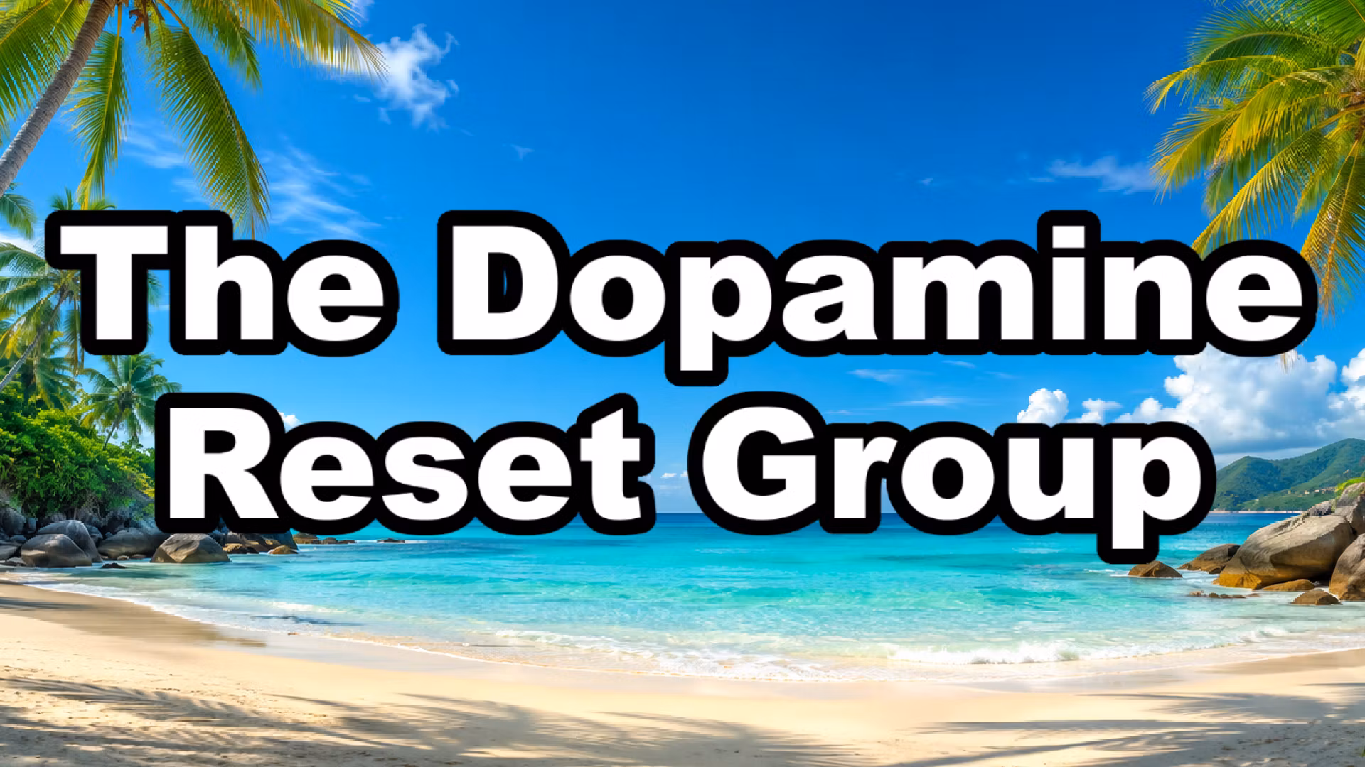 The Dopamine Reset Group