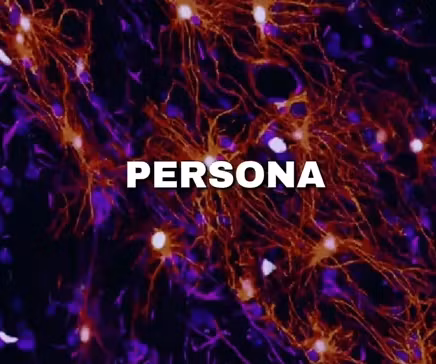 especialidad de la psicología 