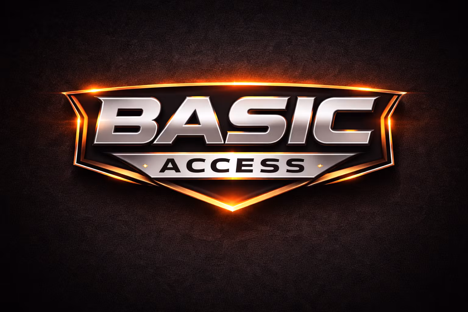 BASIC ACCESS