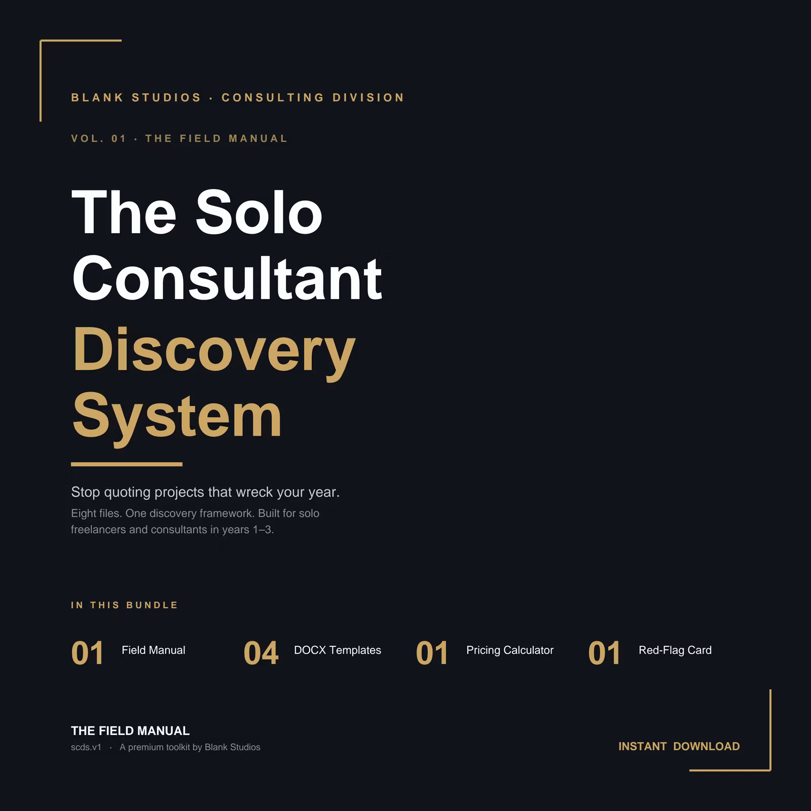 Solo Consultant Discovery System