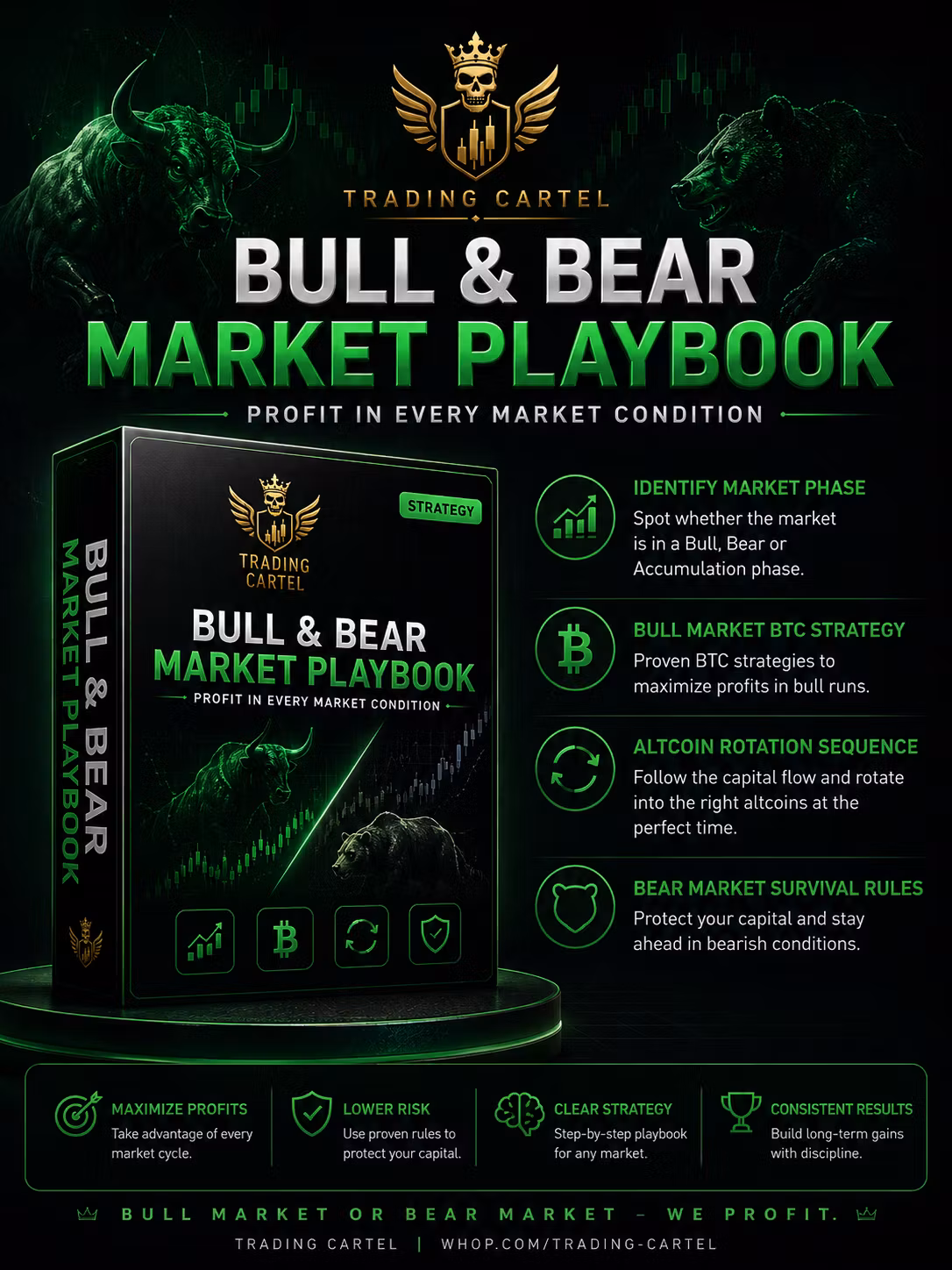 Bull & Bear Playbook