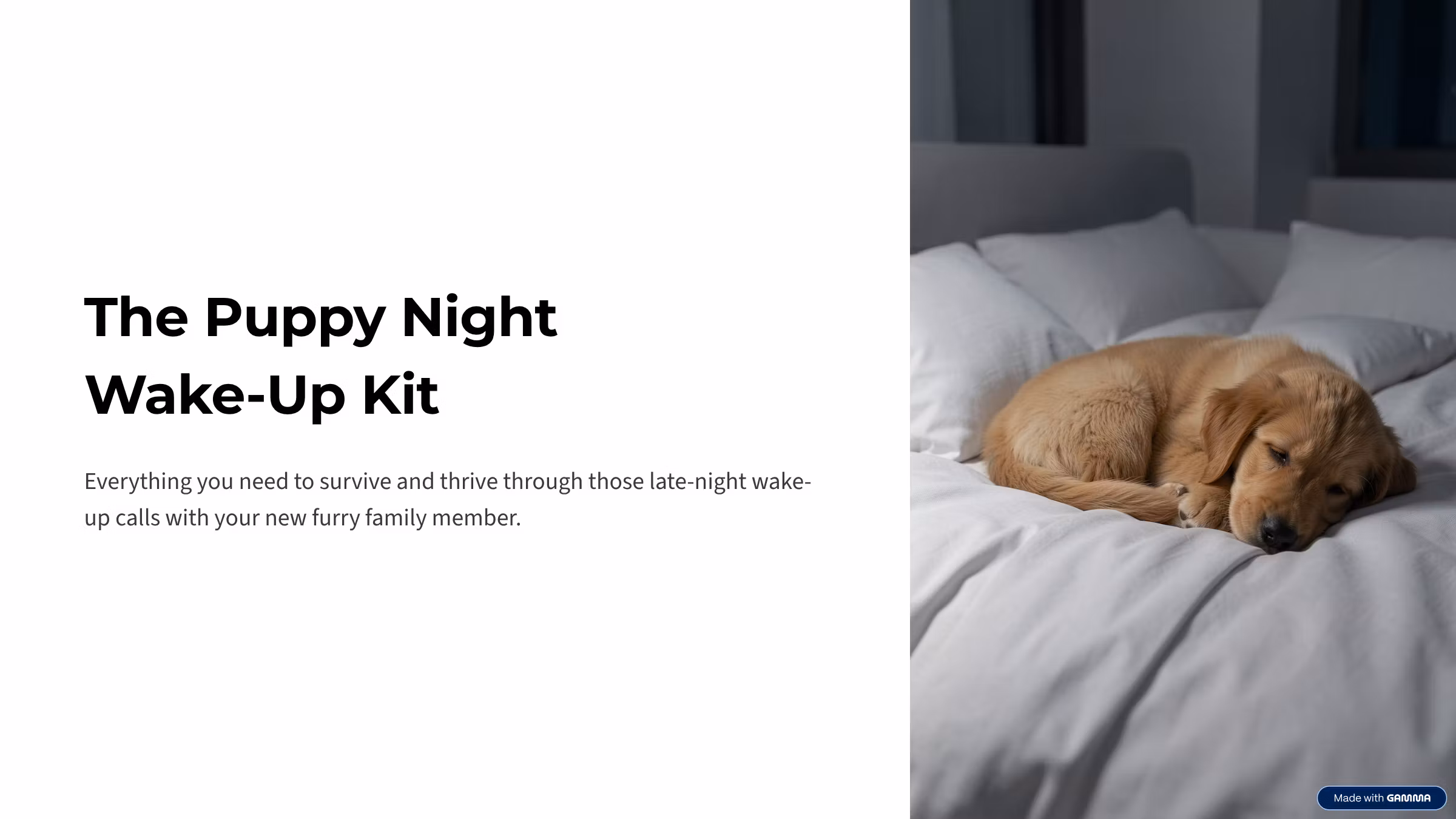 The Calm Puppy Nighttime Protocal