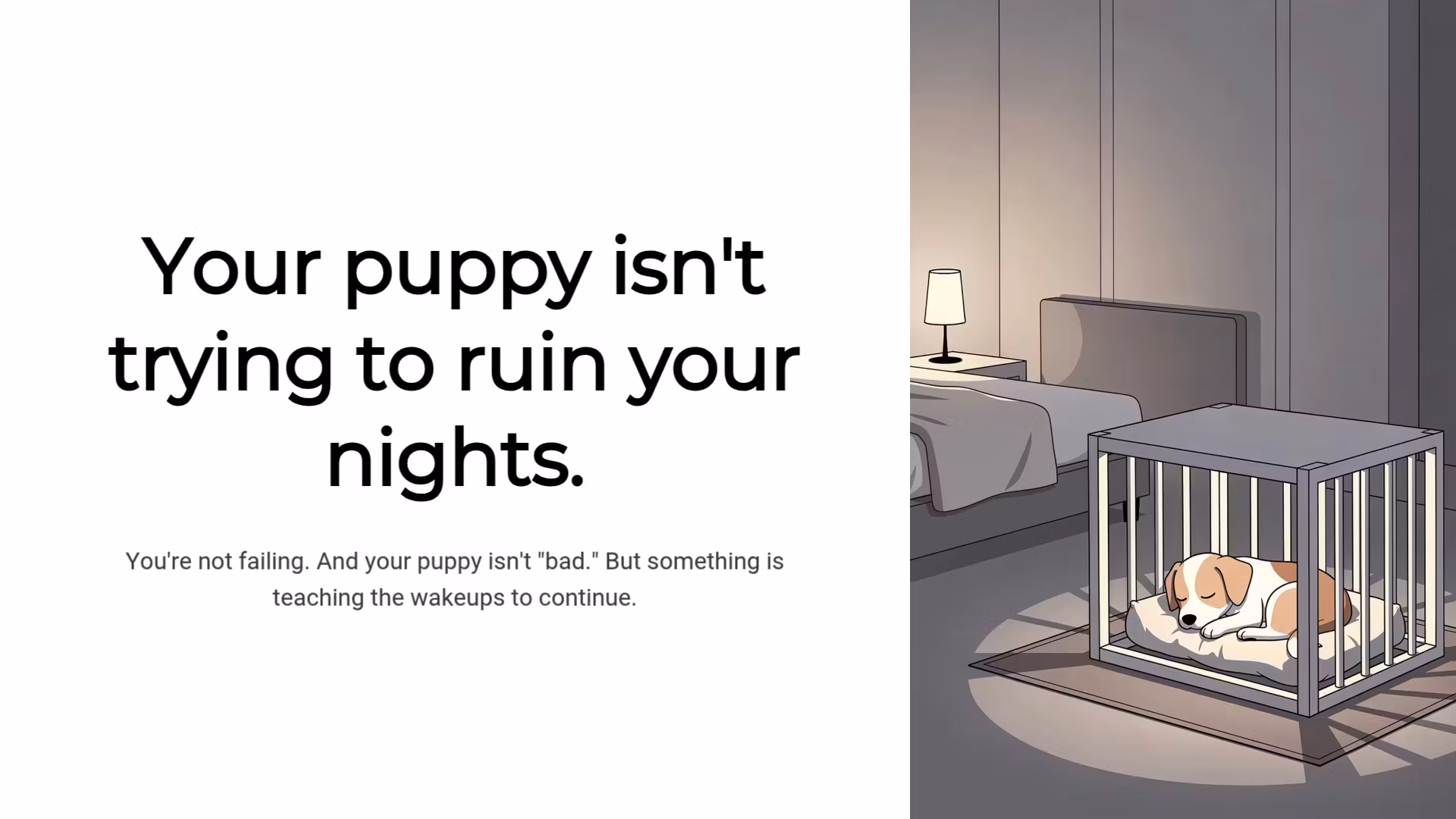 The Calm Puppy Nightime Protocol