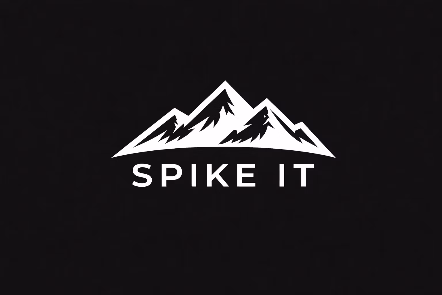 SpikeIT Agency