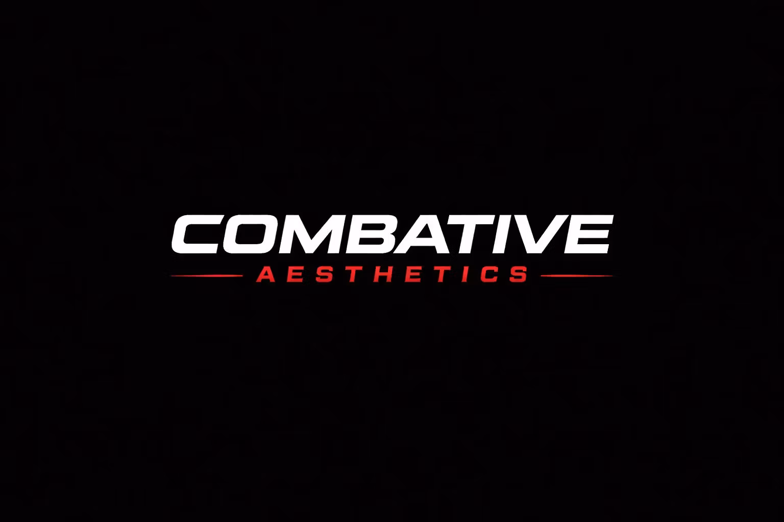 Combative Aesthetics