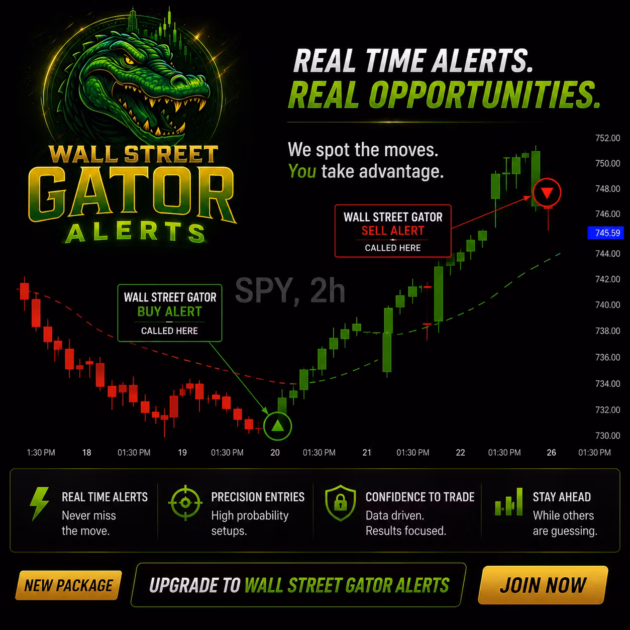 🚨 Wall Street Gator Alerts 🐊