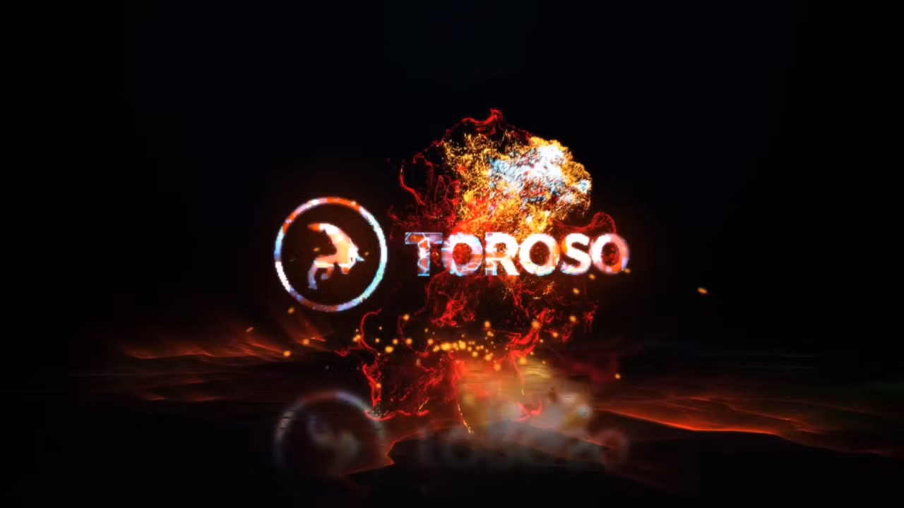 TRADERS BLACK TOROSO