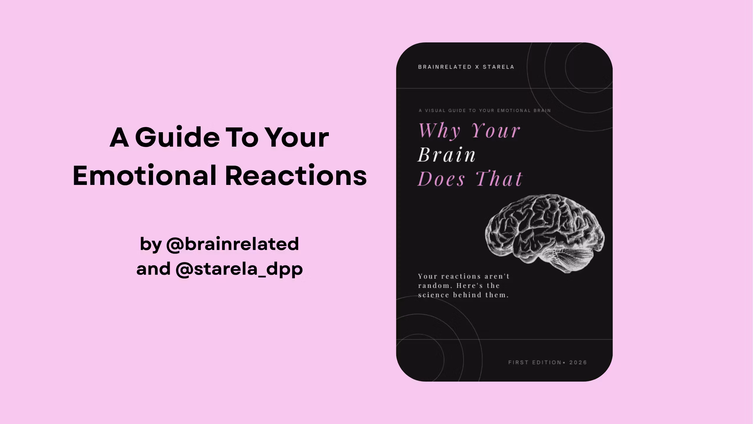 Why Your Brain Does That.