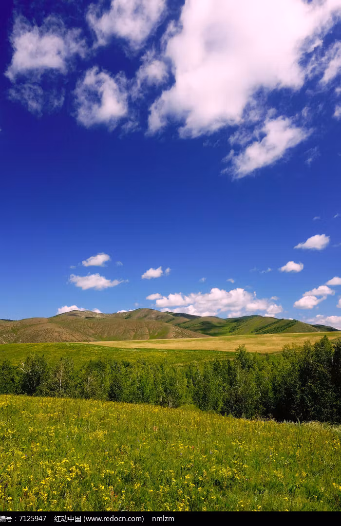 CodeMarket Resell Solutions SOFTWARE