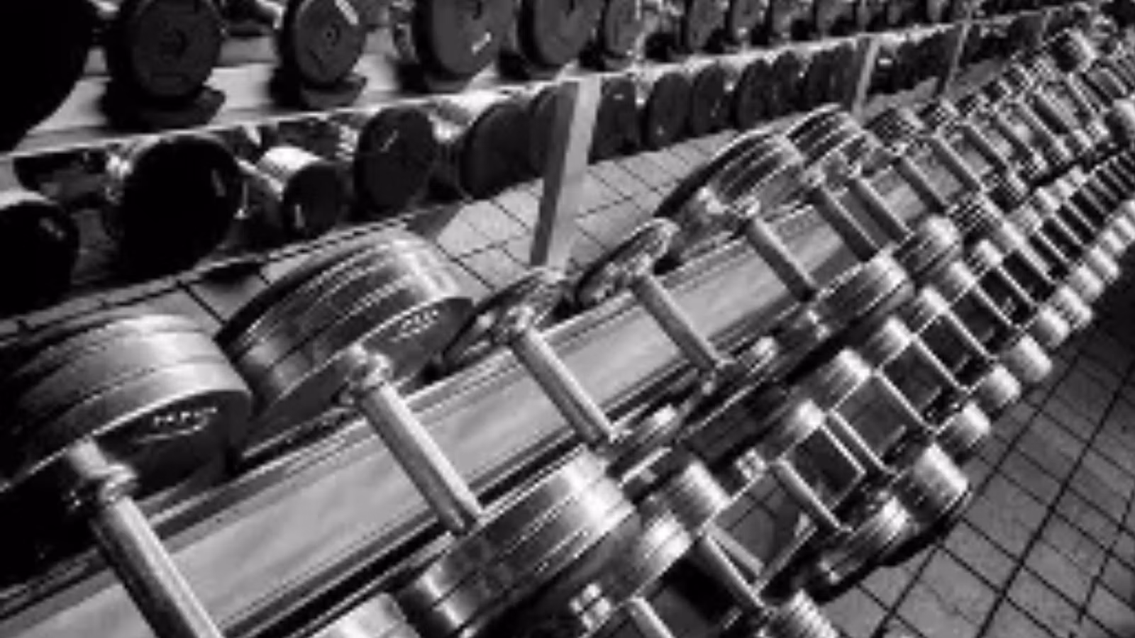 The Gladiator Physique Method