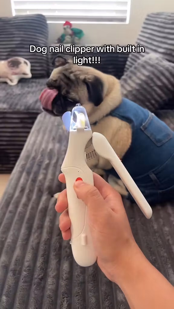 Home essentials 