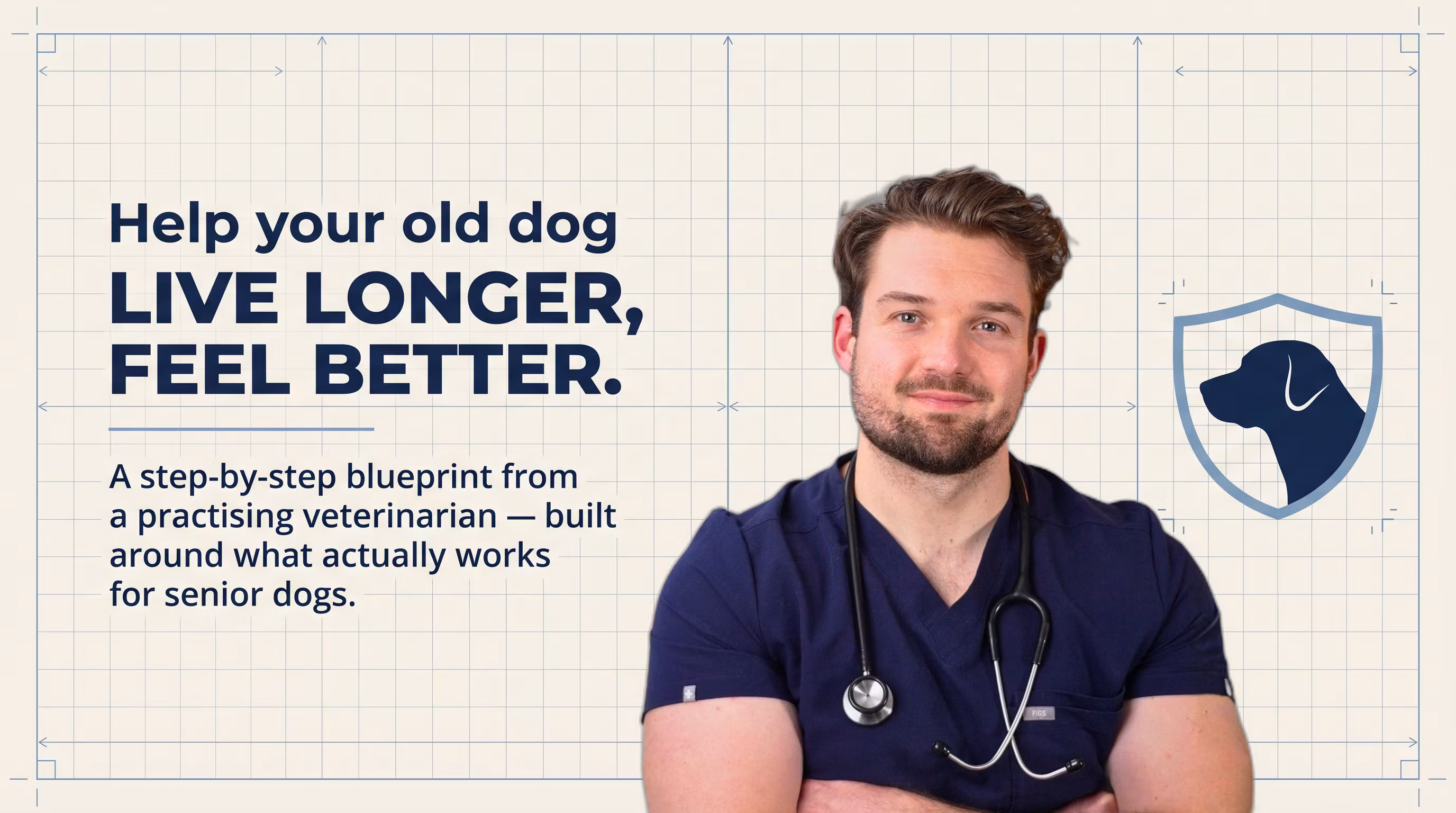 Senior Dog Education