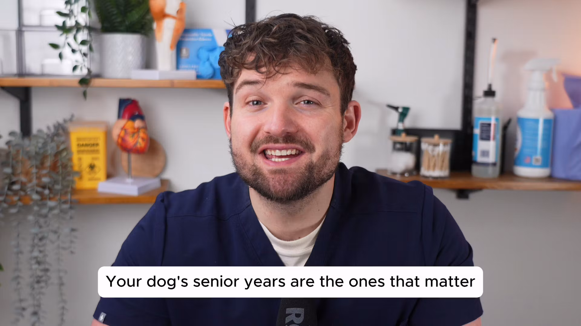 "The Senior Dog Blueprint" — Early Access