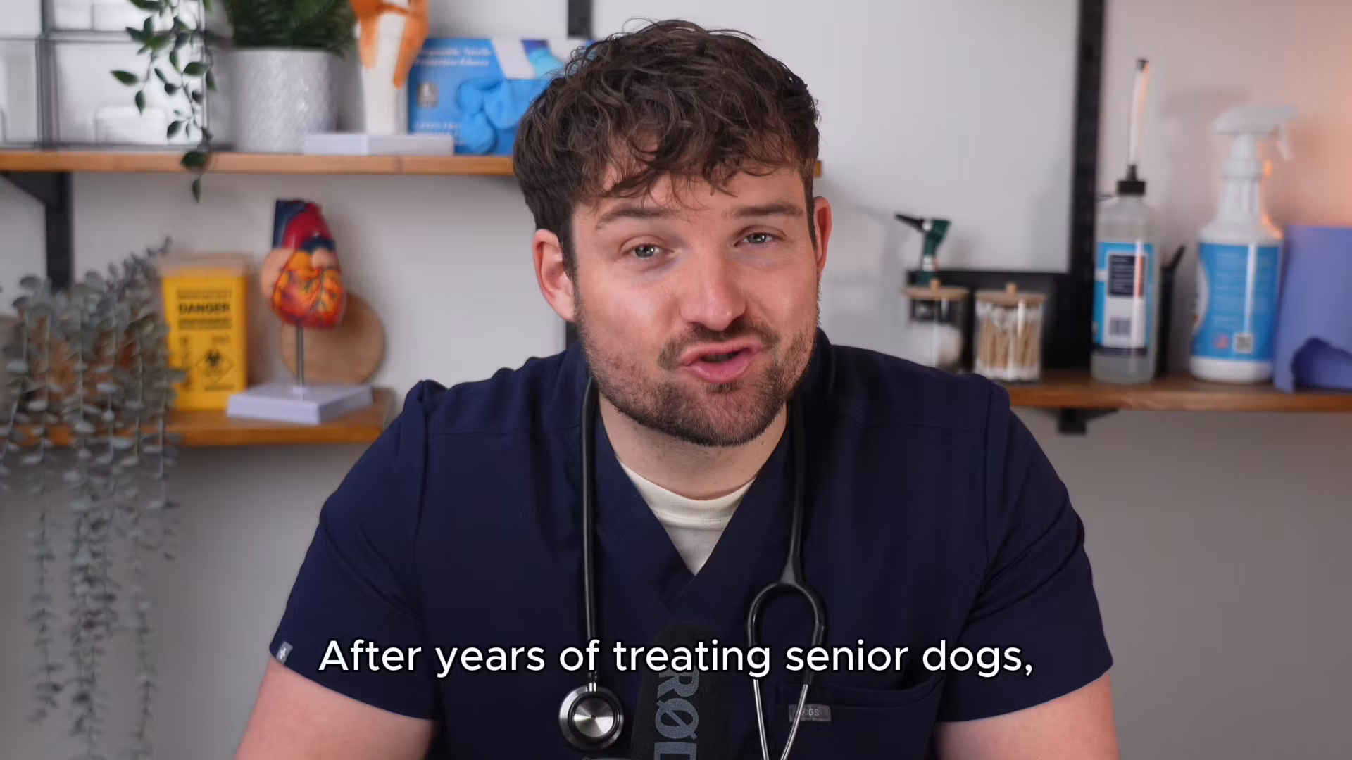 "The Senior Dog Blueprint" - 5-Step Vet-Built System