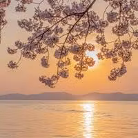 CodeTrader Solutions