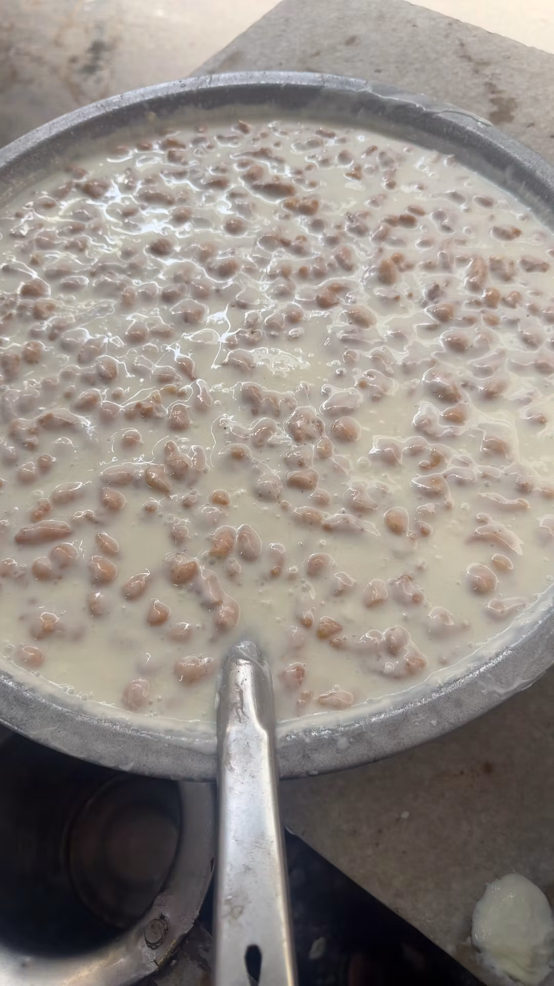 curd ,milk , chees