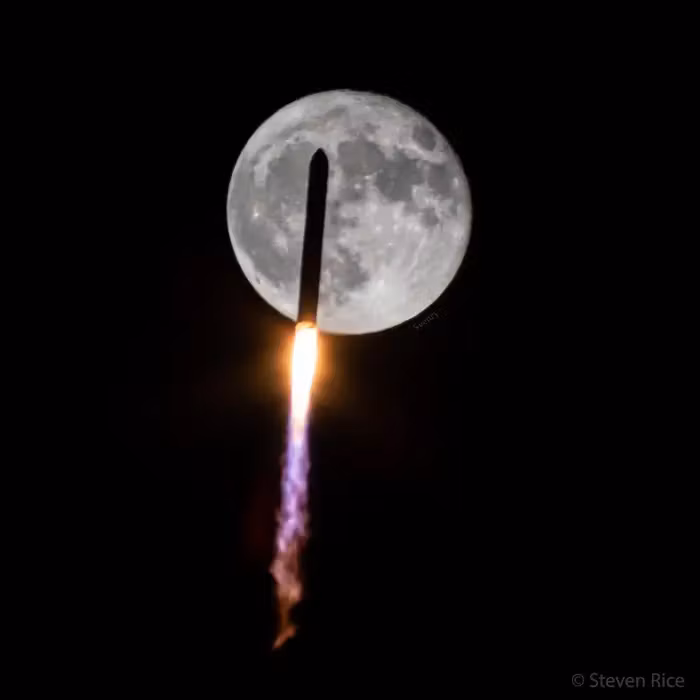 Moon Crypto Discord