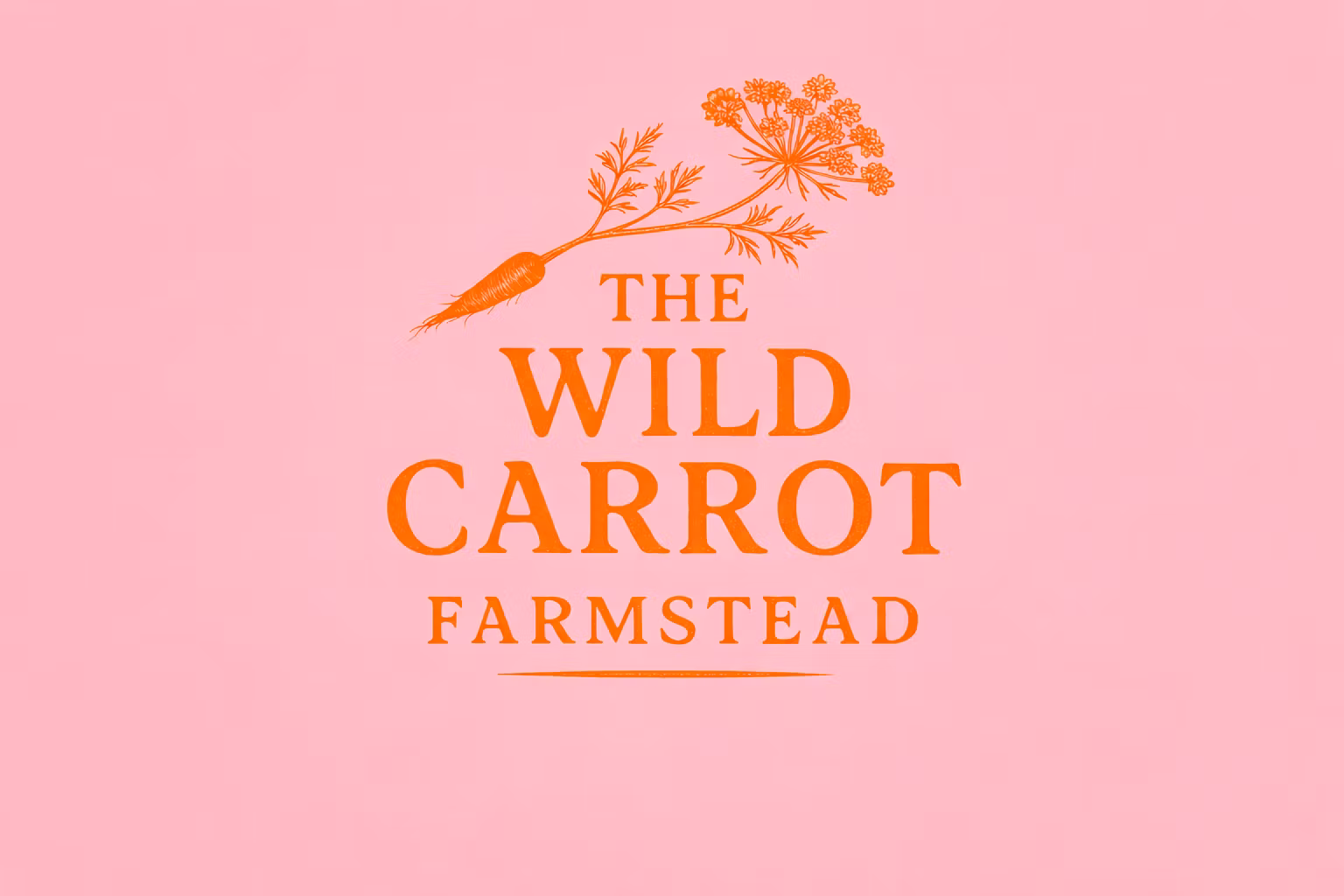 thewildcarrotfarmstead
