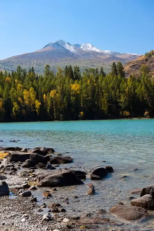 SuccessSphere Coaching & Courses