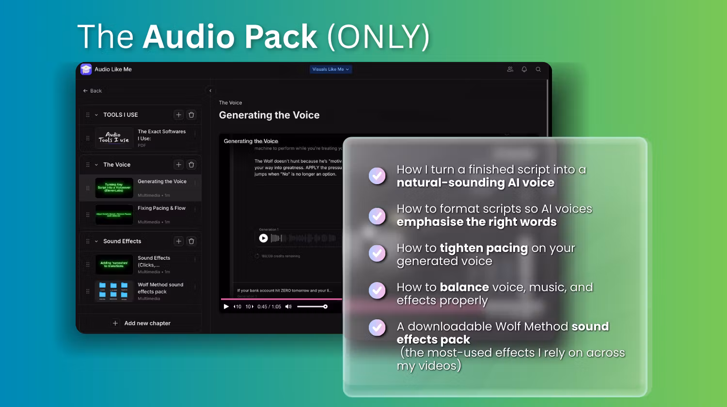Audio Like Me
