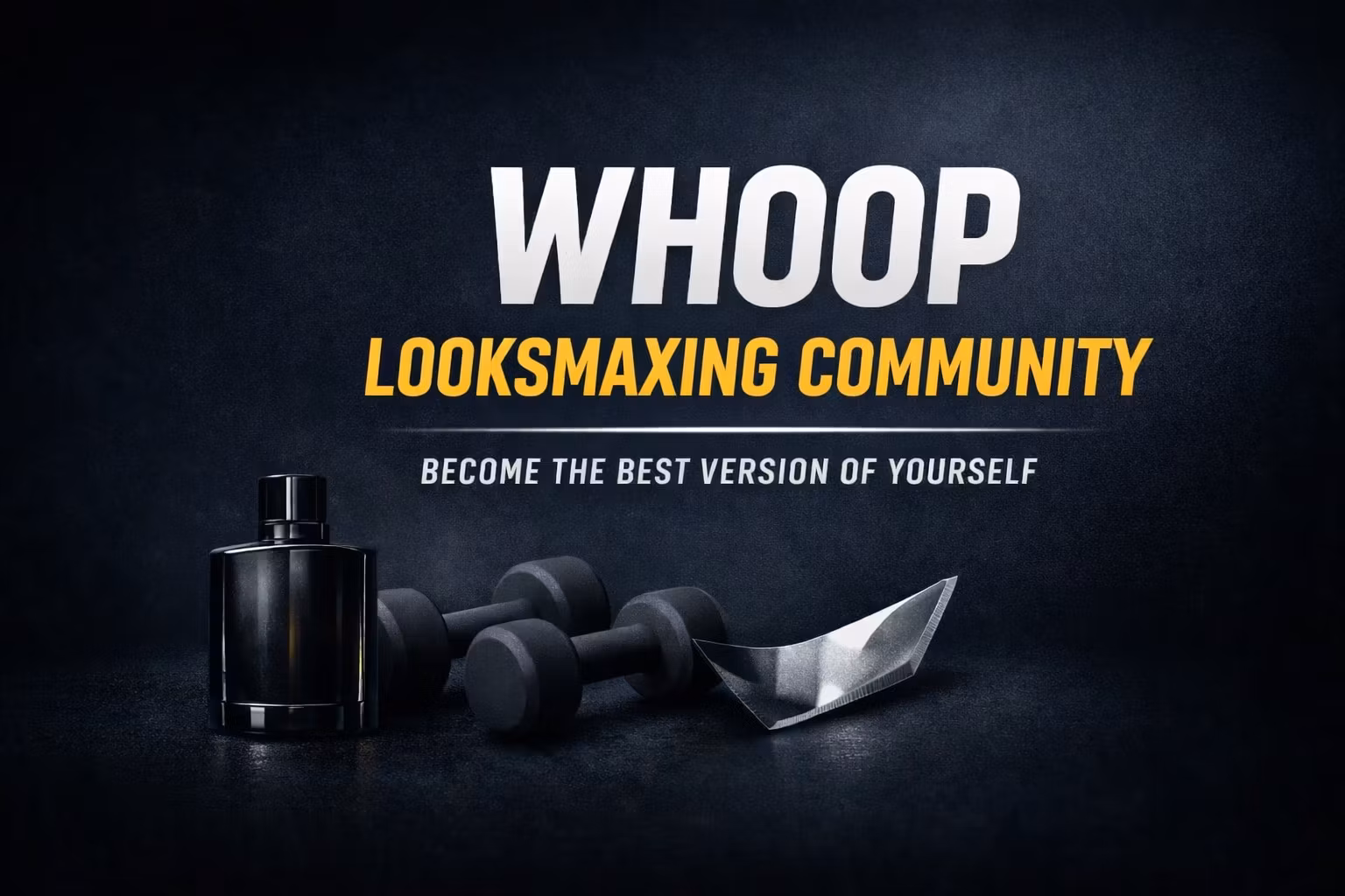 LOOKS MAXING COMMUNITY