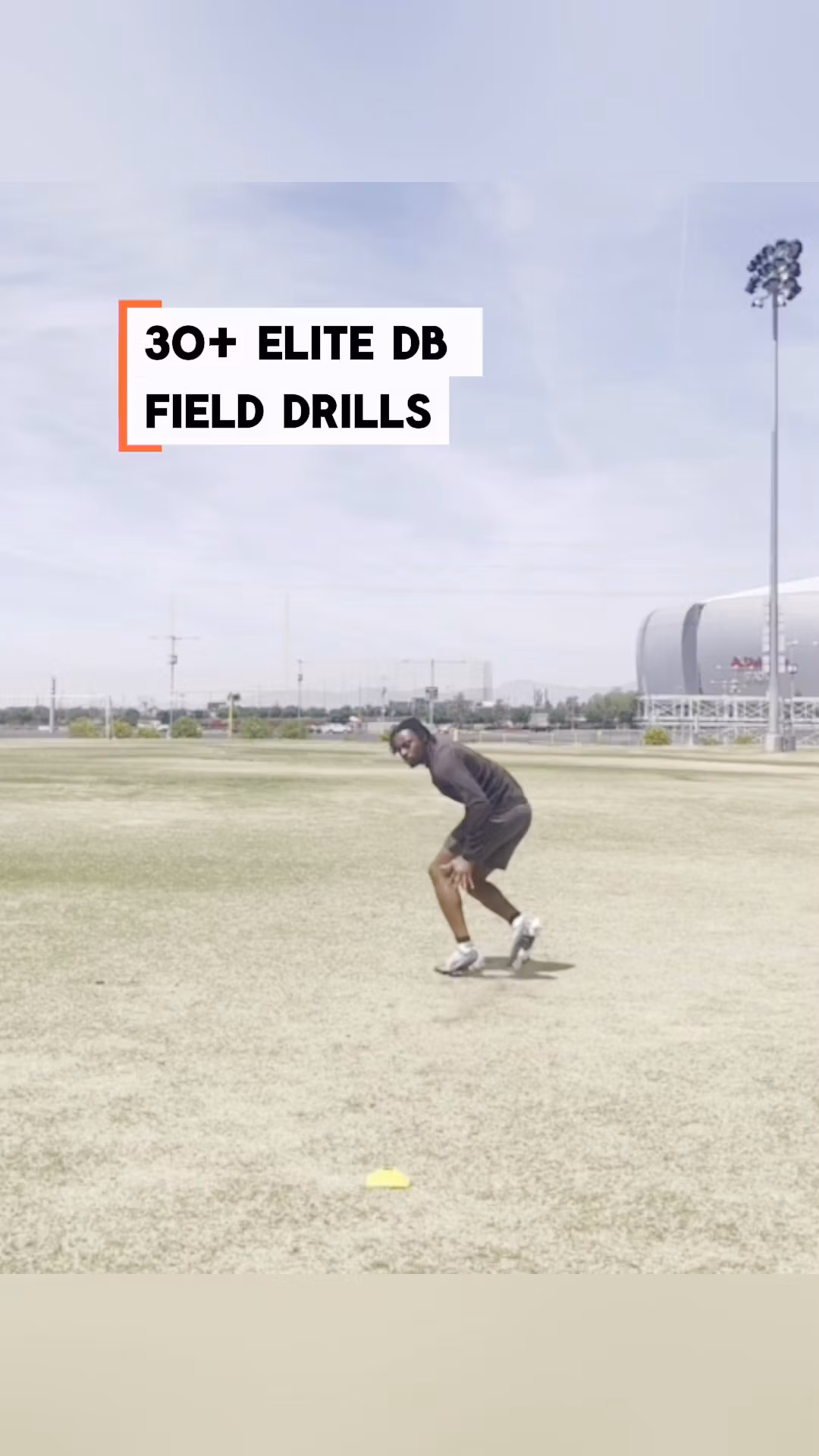 Complete DB Training Bundle