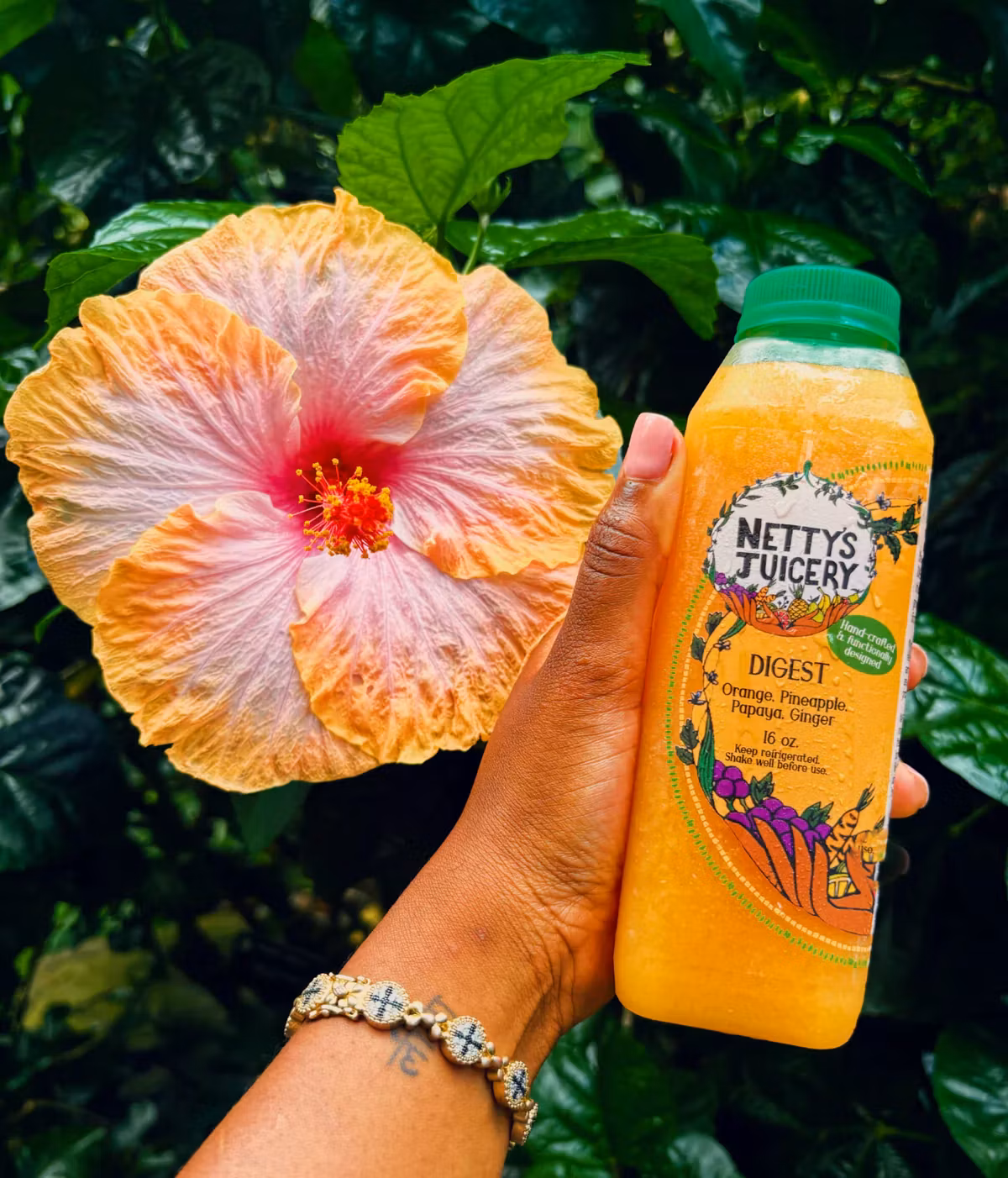Juicing Plan - (Gold)