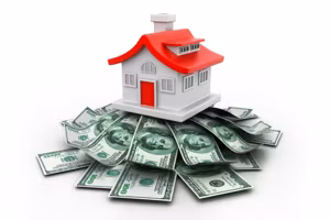 PROFESSIONAL REAL ESTATE INVESTMENT GUIDE 
