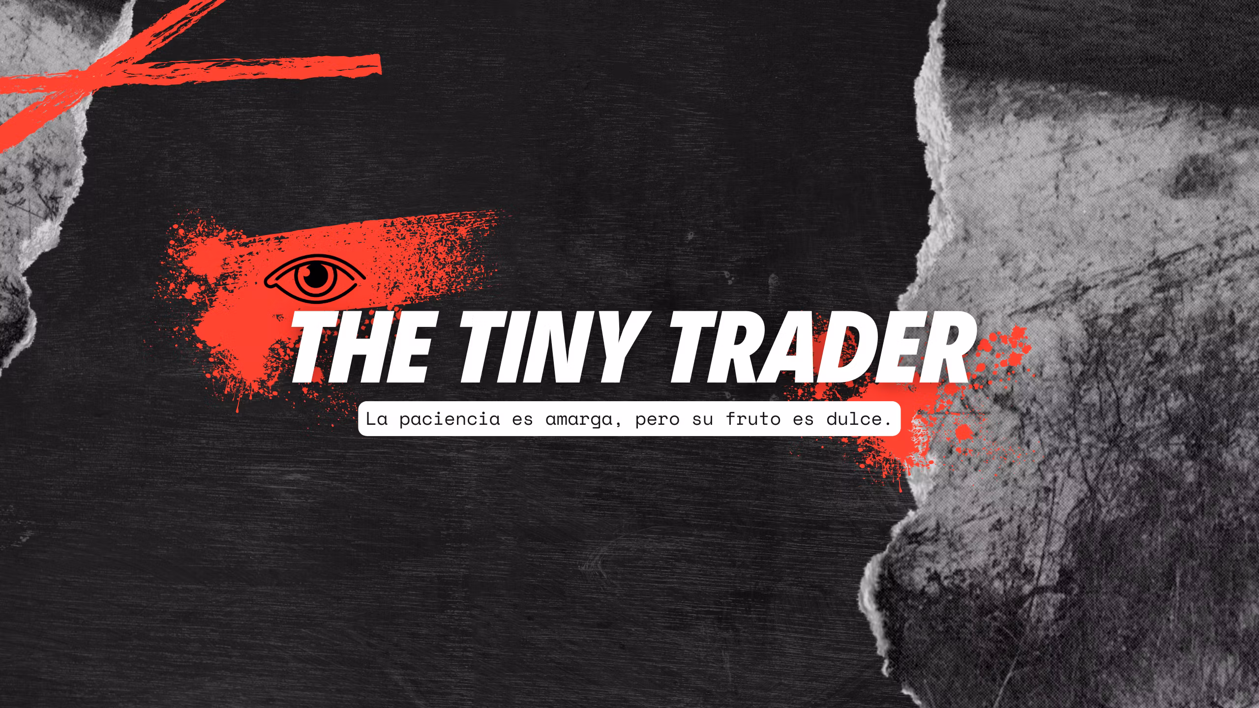 THE TINY TRADER · Live Process