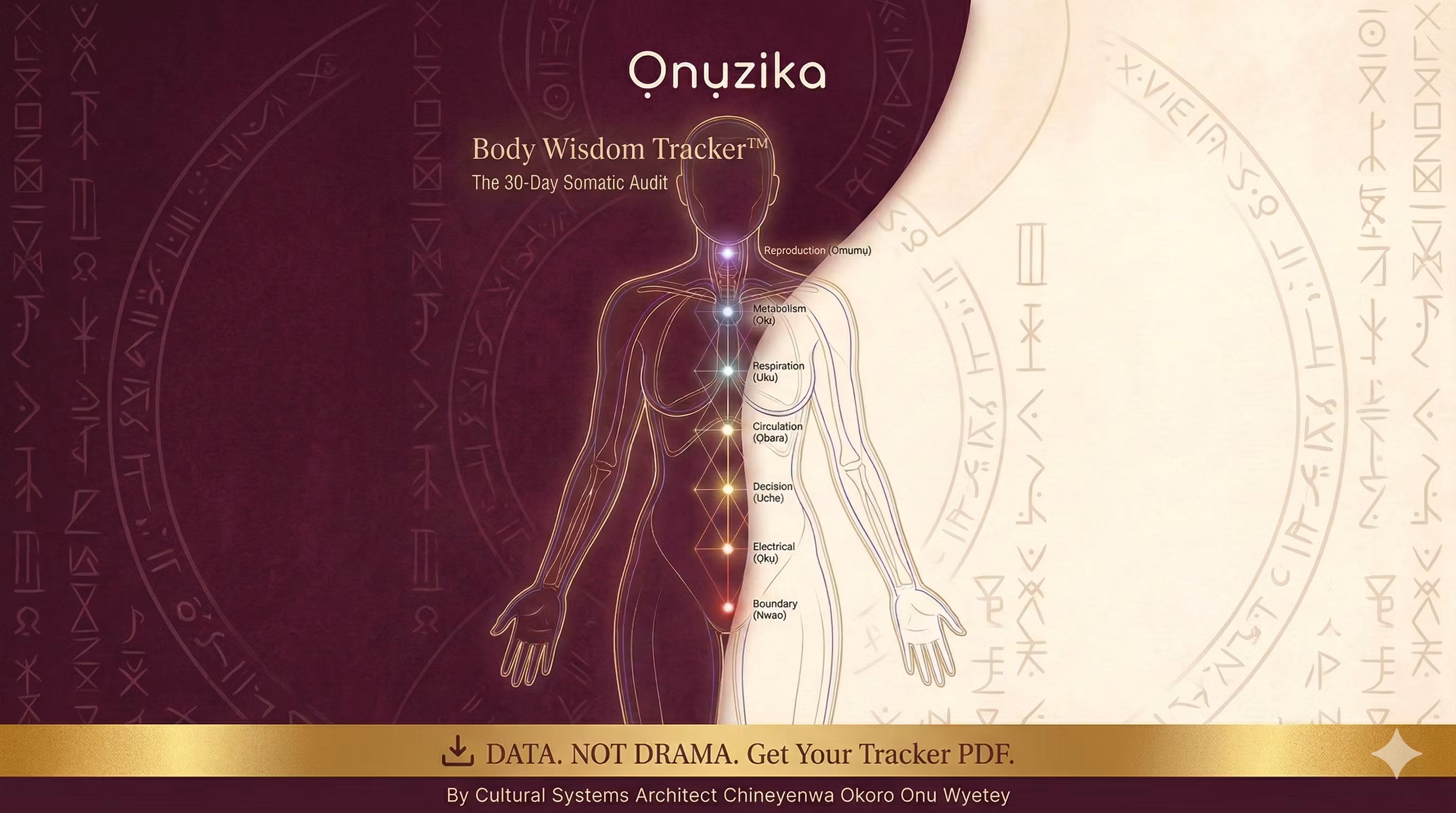 BODY WISDOM TRACKER™