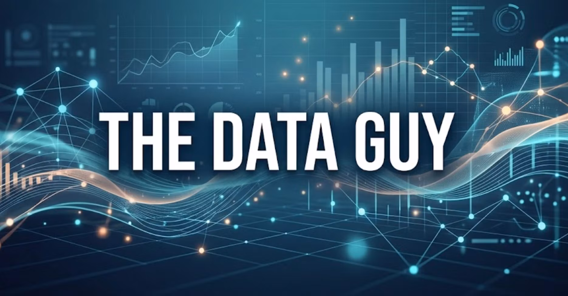 The Data Guy