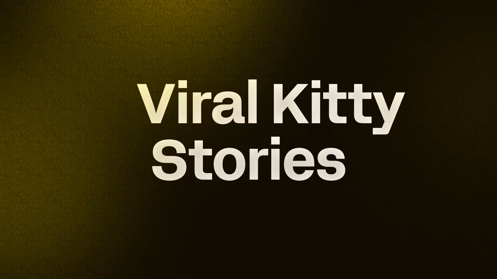     Viral Kitty Stories