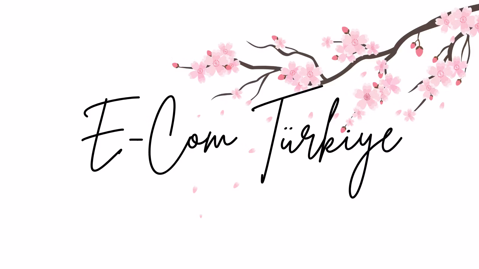 E-com Türkiye
