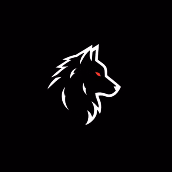 Rayinthedarkk