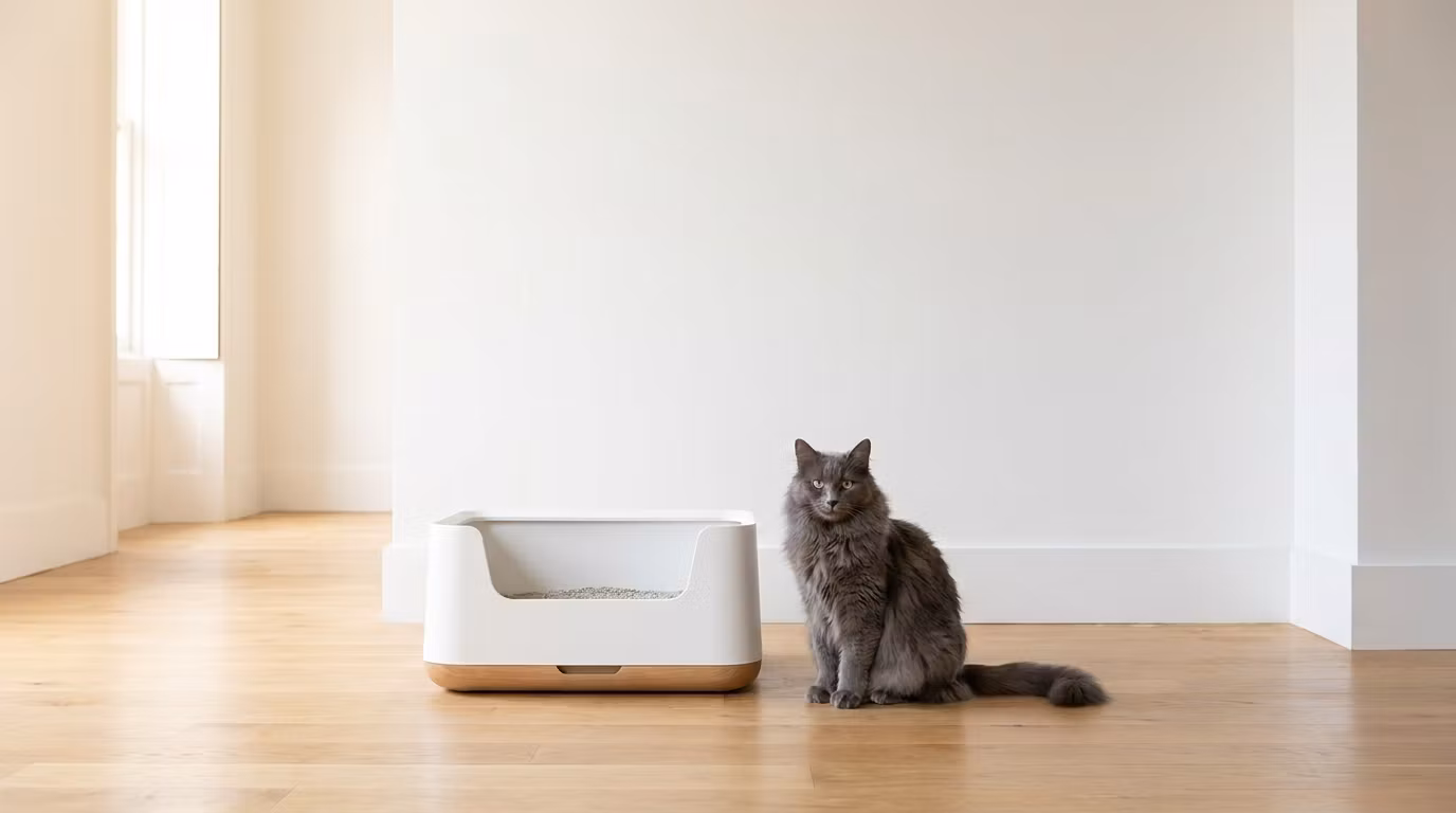 The Litter Playbook