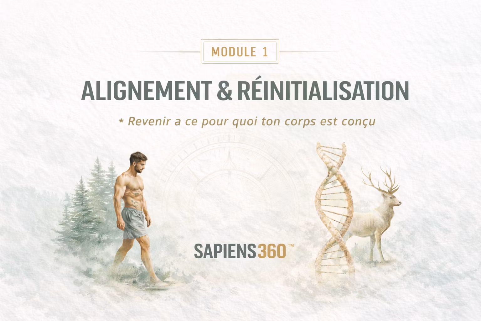 SAPIENS 360™