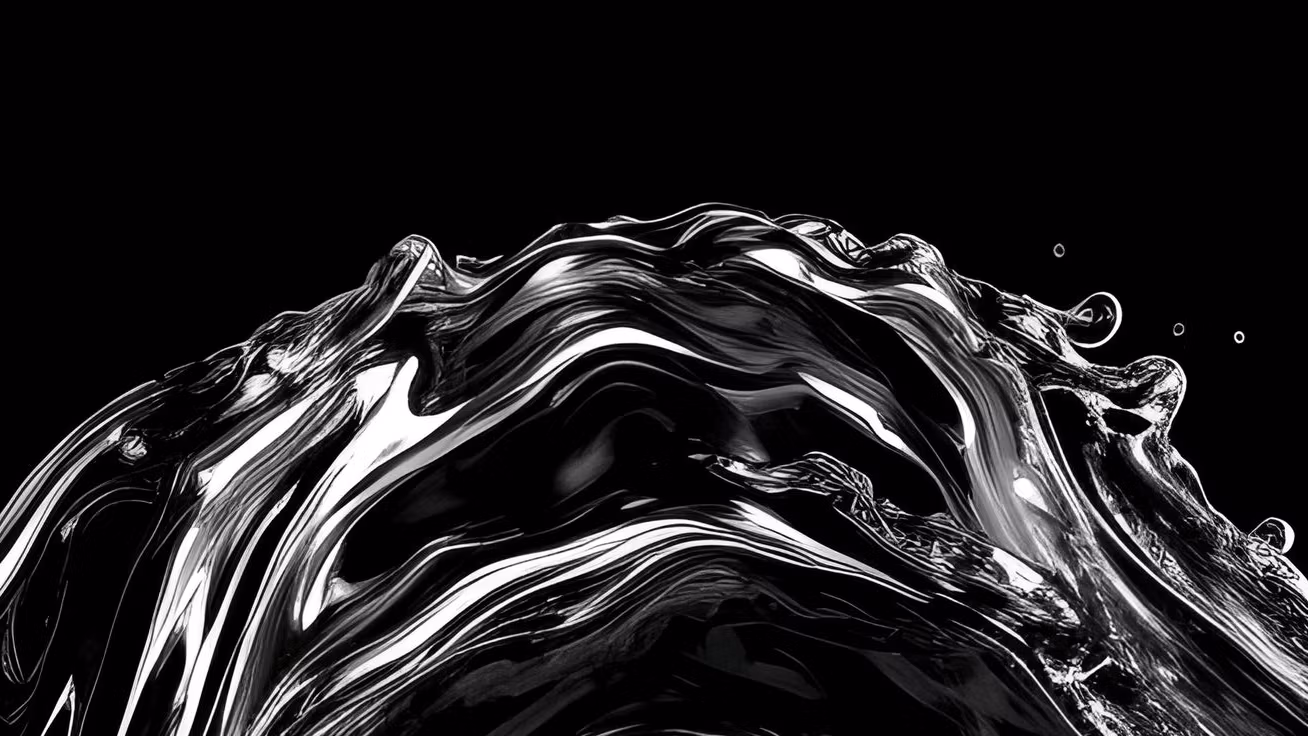 Vined Reselling-Guide Pro