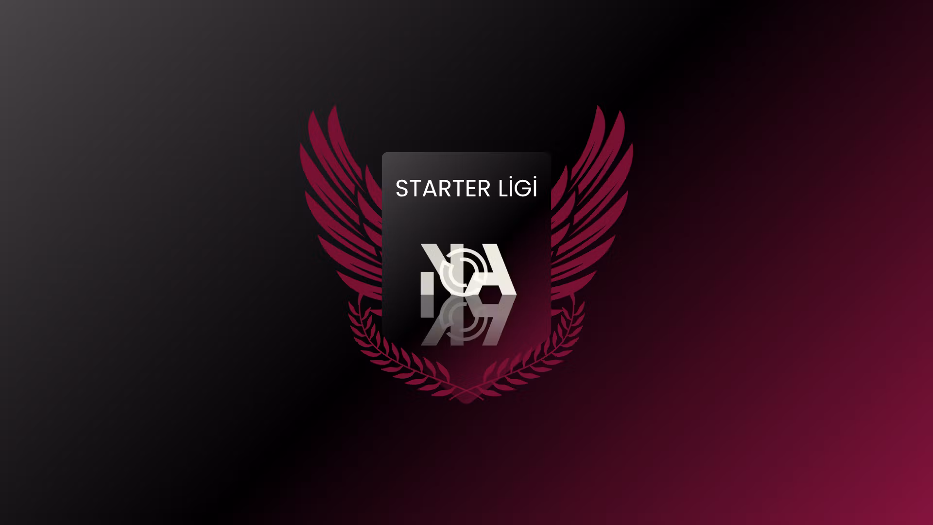 Starter Ligi