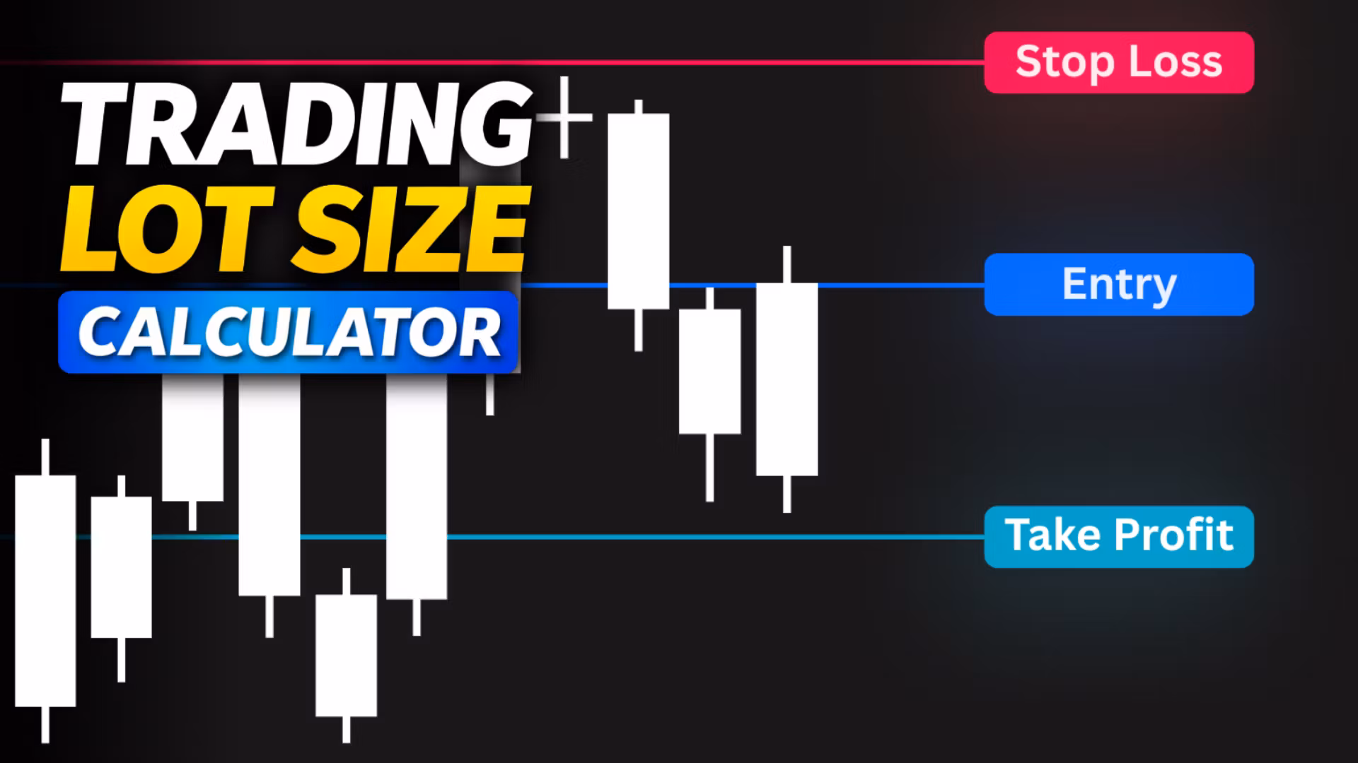 SizeWise