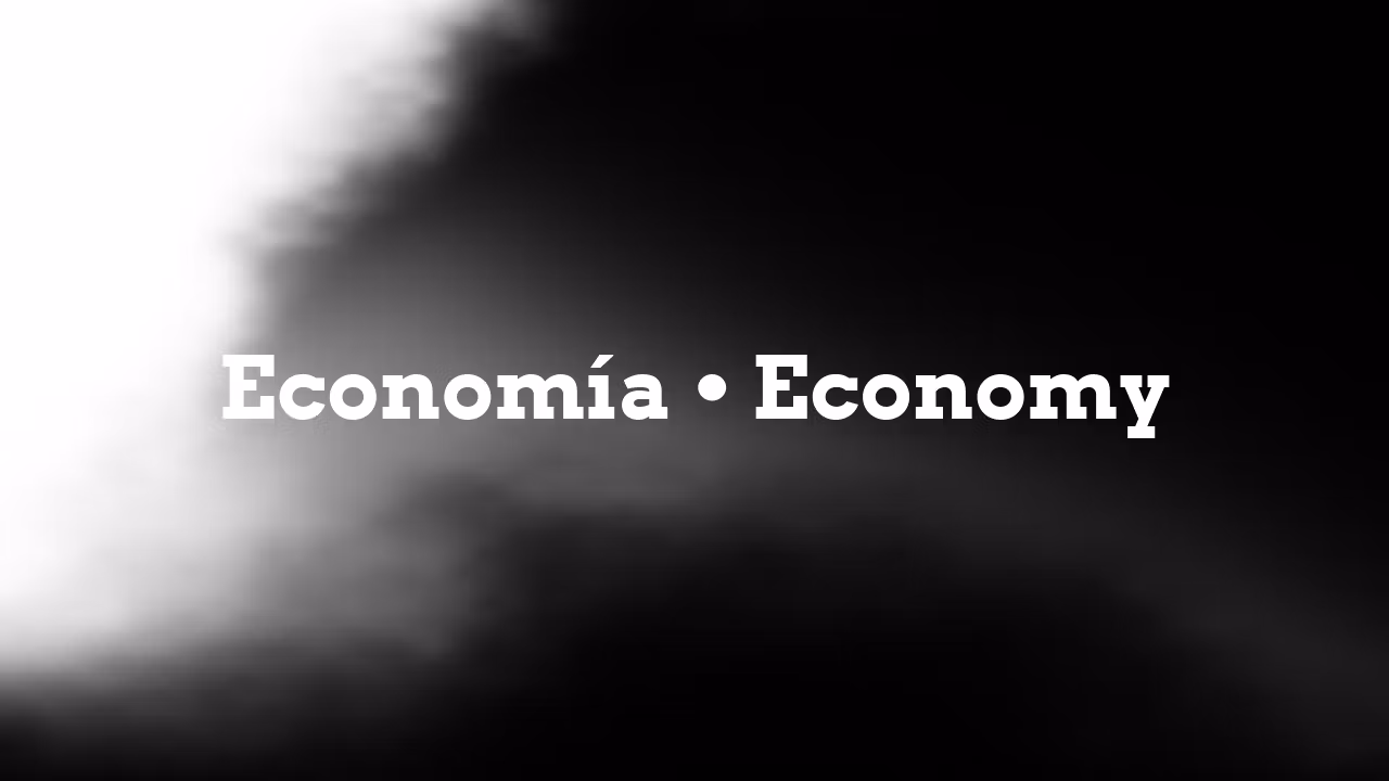 Economía • Economy