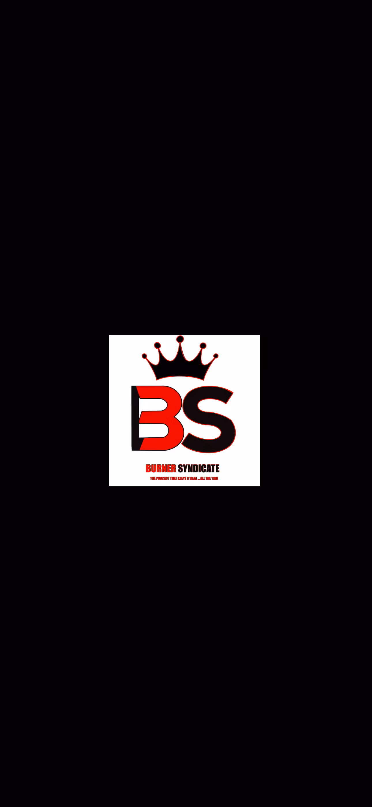 The Burner Syndicate 🔒’s