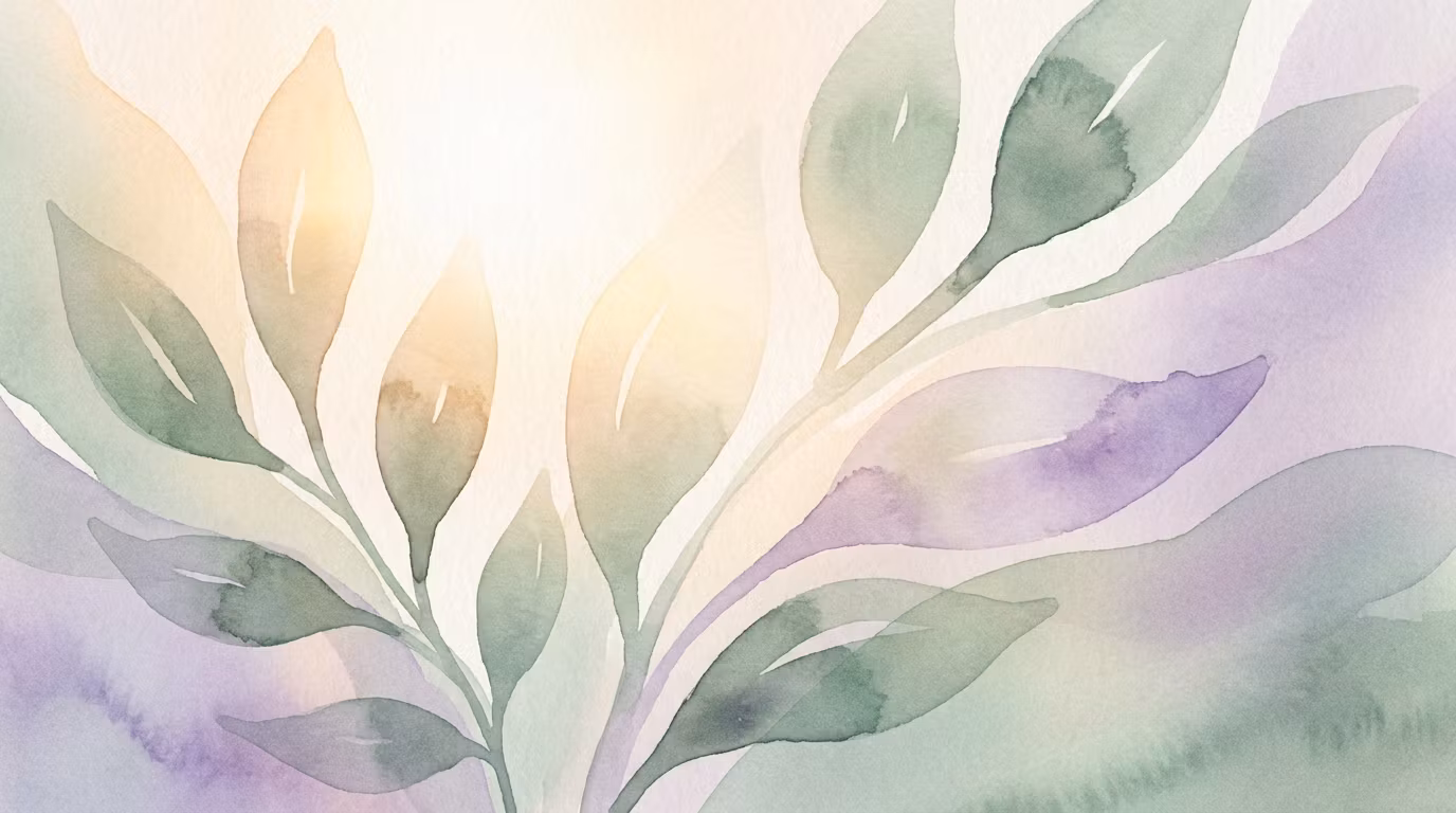 Menopause Wellness Program