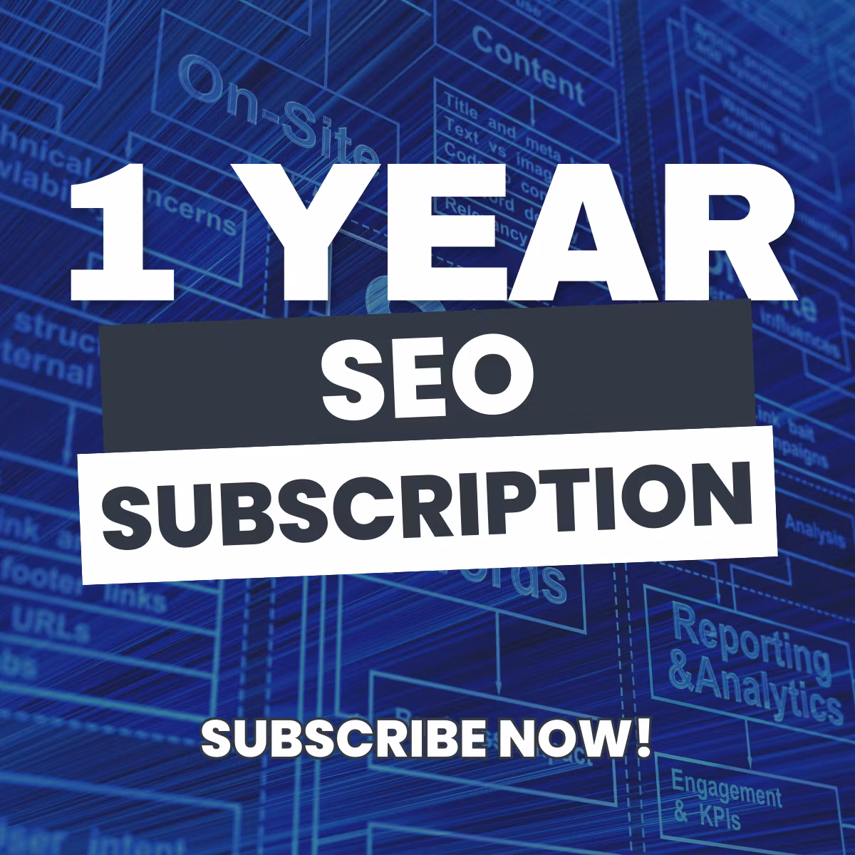 1 Year Subscription SEO
