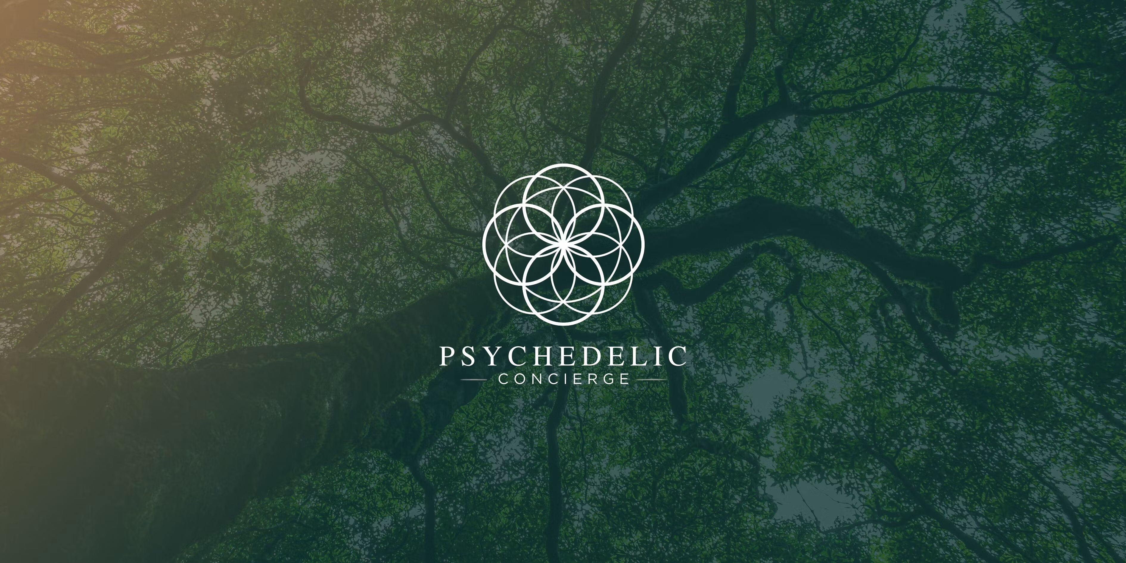 Psychedelic Concierge™