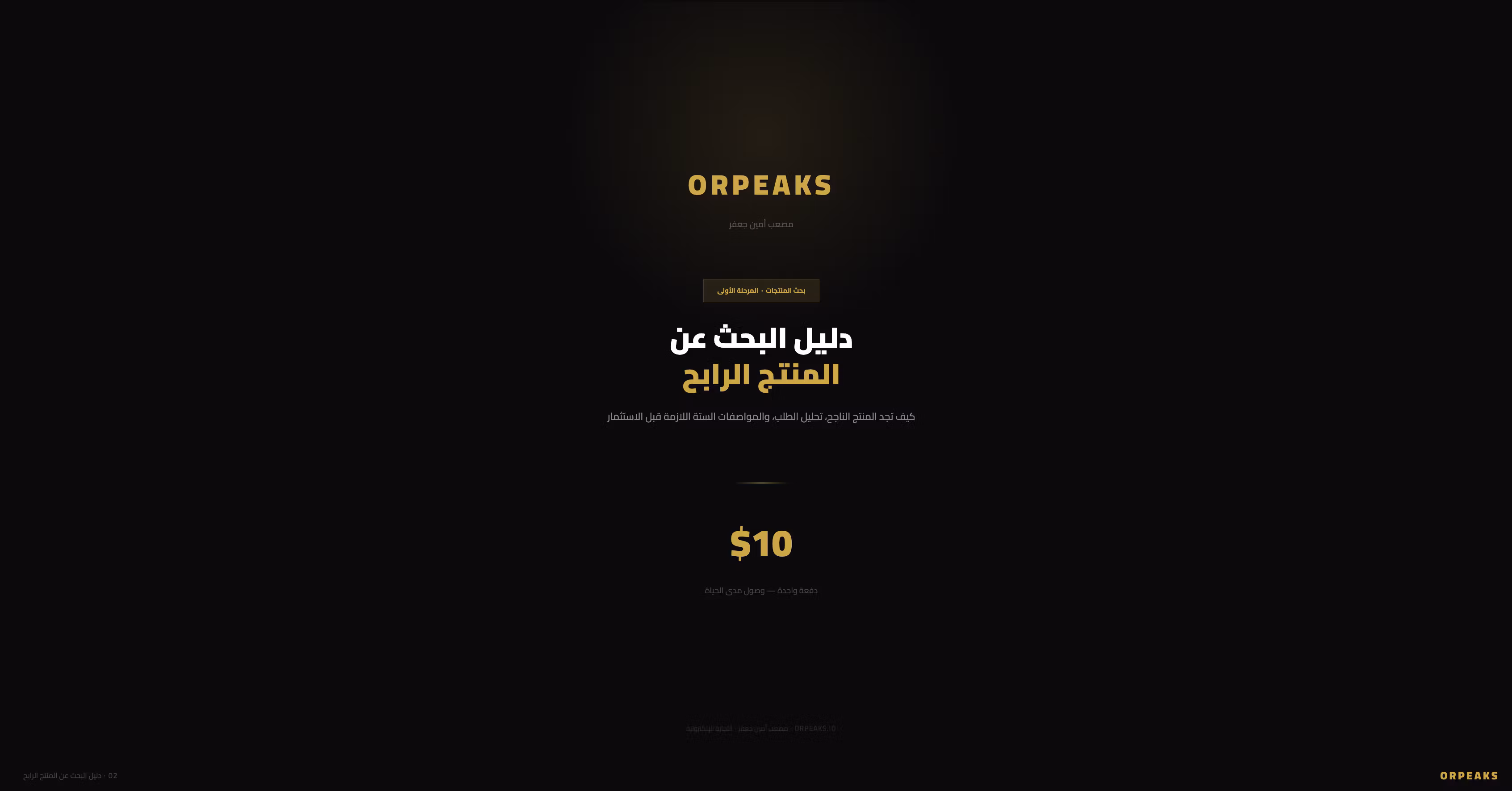 دليل البحث عن المنتج الرابح
